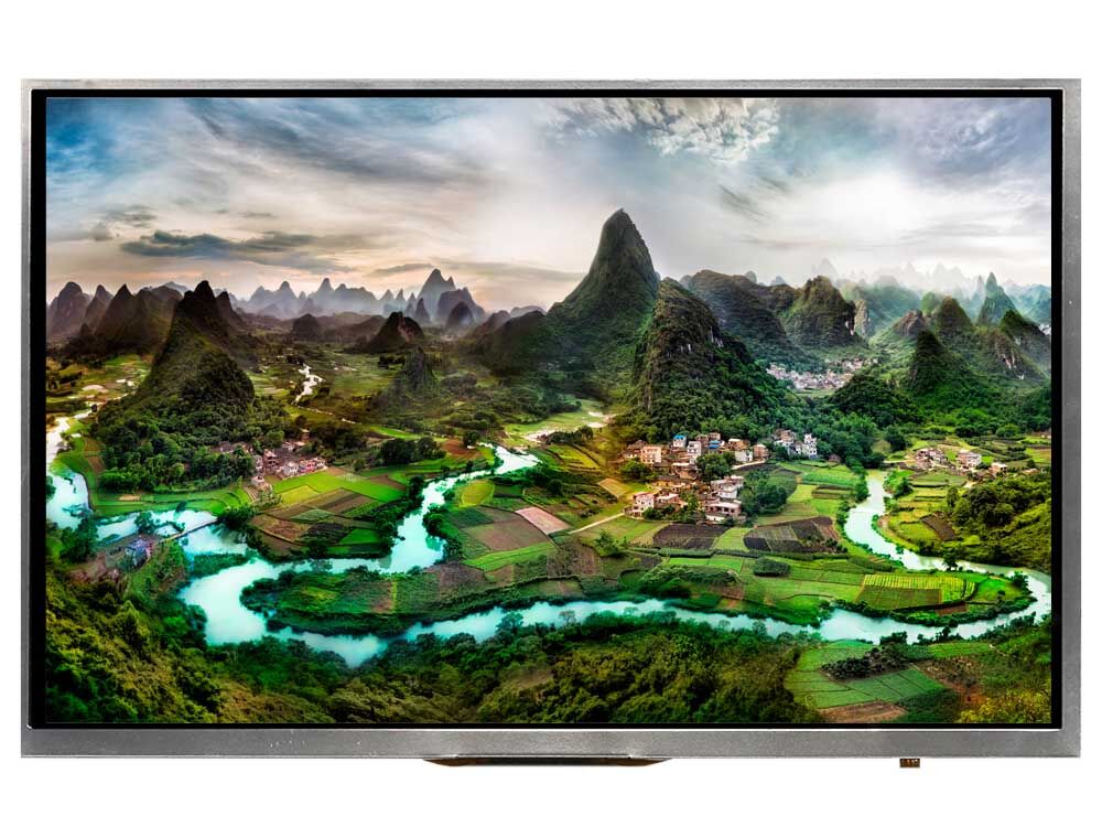 10.1 inch 1280x800 IPS TFT Display Module