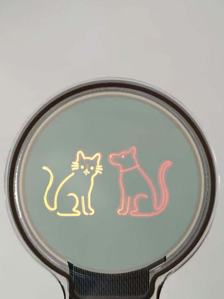 custom small size transparent oled screen
