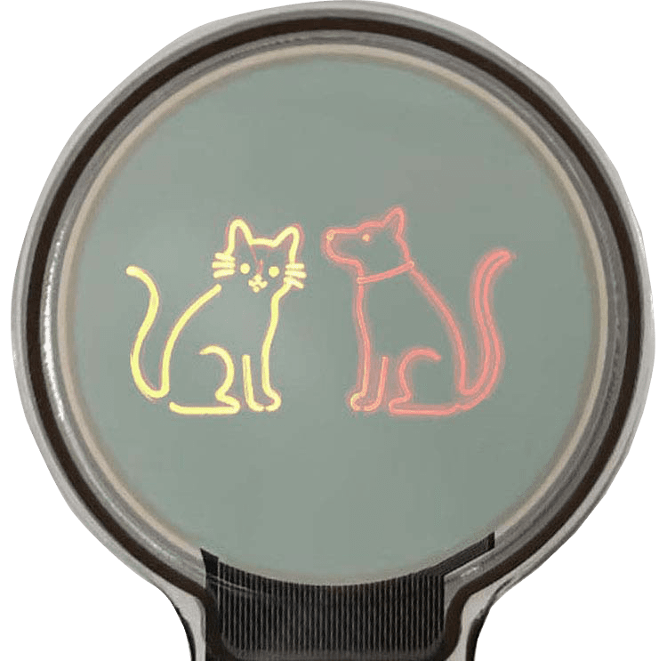 custom small size transparent oled screen