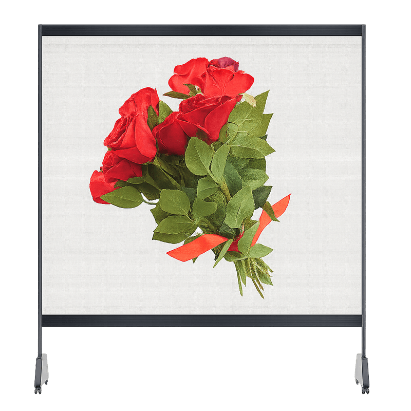 led holographic invisible screen