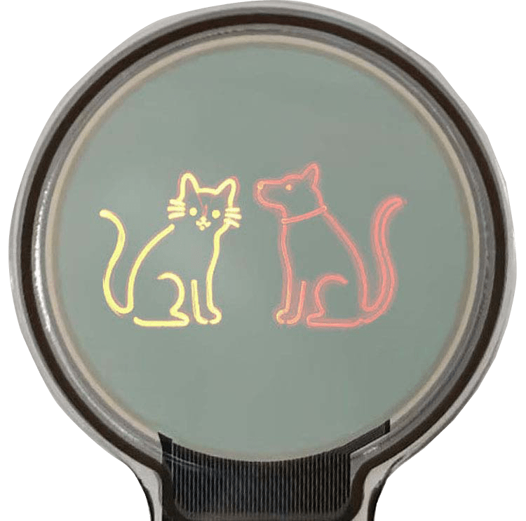 custom small size transparent oled screen