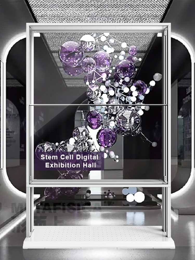 transparent oled video wall – stem cell display
