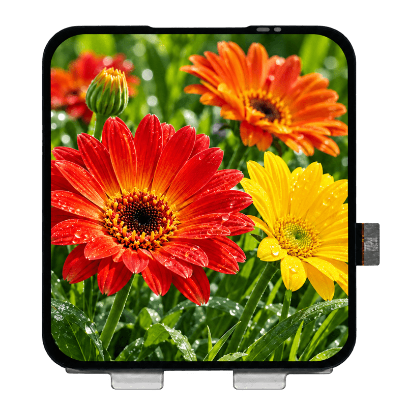 AMOLED Displays